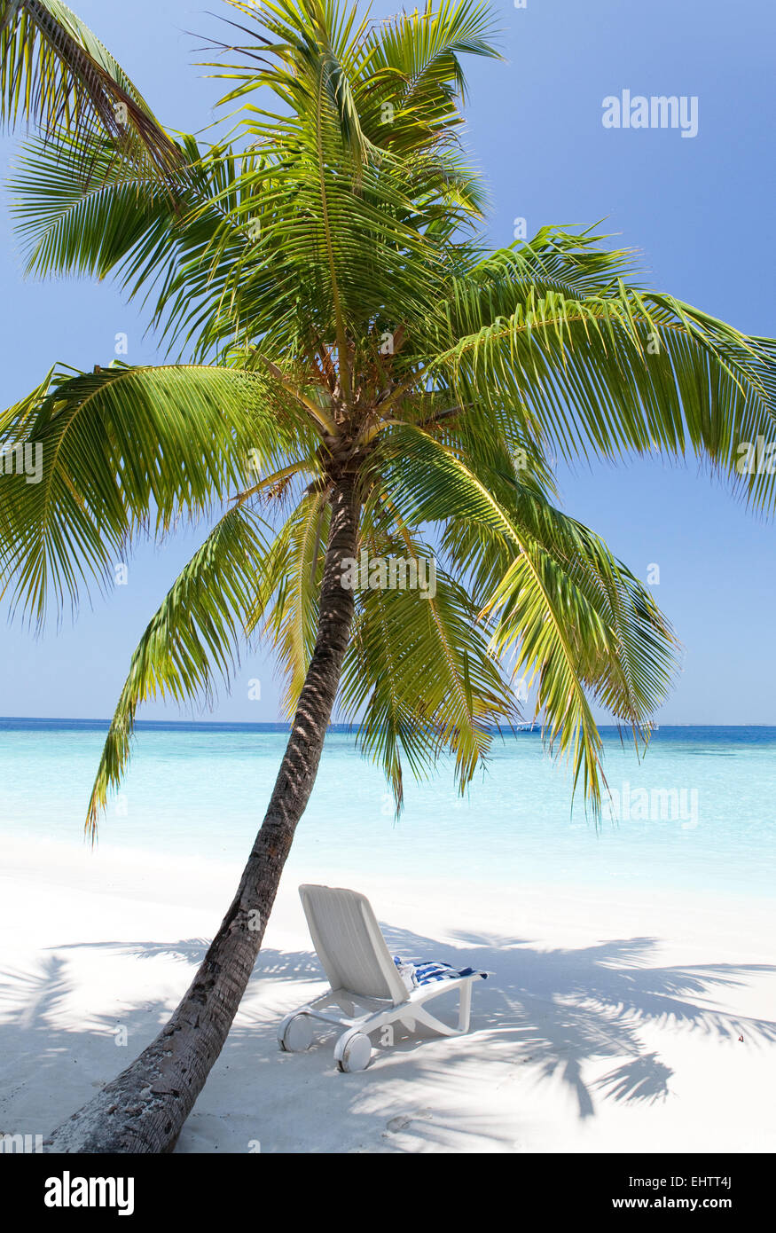 chaise lounges on a beach Stock Photo Alamy