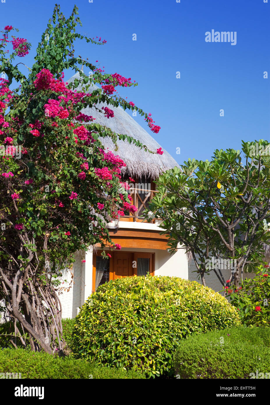 Traditional tropical hut in a garden Stock Photo