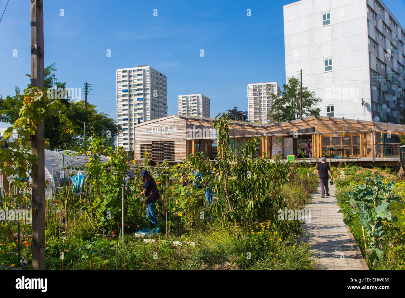 EXPERIMENTAL GARDEN PROJECT R-UBAN BY THE ARCHITECTURAL WORKSHOP AUTOGEREE (AAA), COLOMBES (92) HAUTS-DE-SEINE, FRANCE Stock Photo