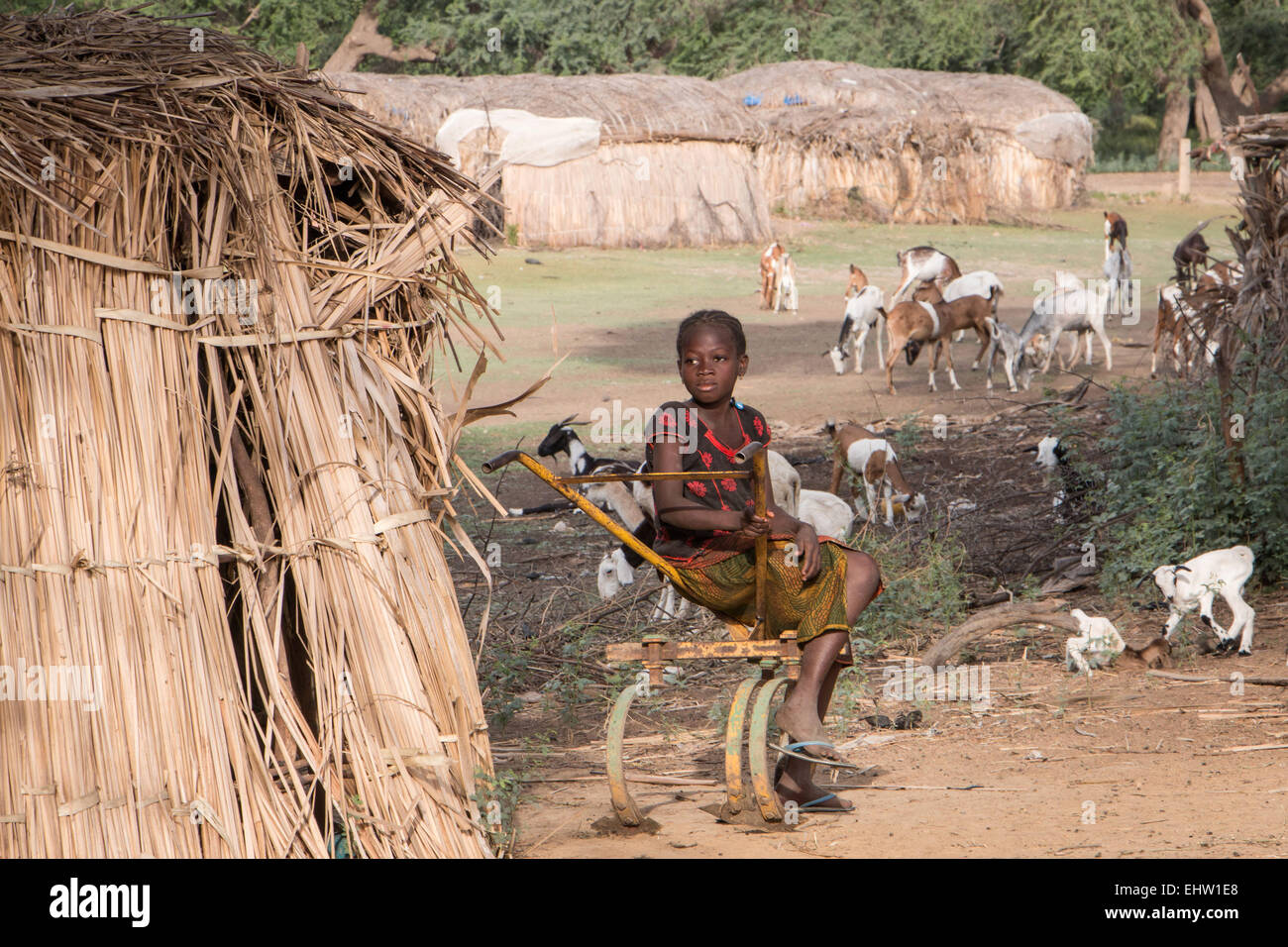 ILLUSTRATION OF SENEGAL, WEST AFRICA Stock Photo