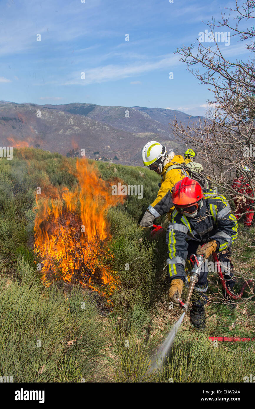 CONTROLLED BURNING Stock Photo