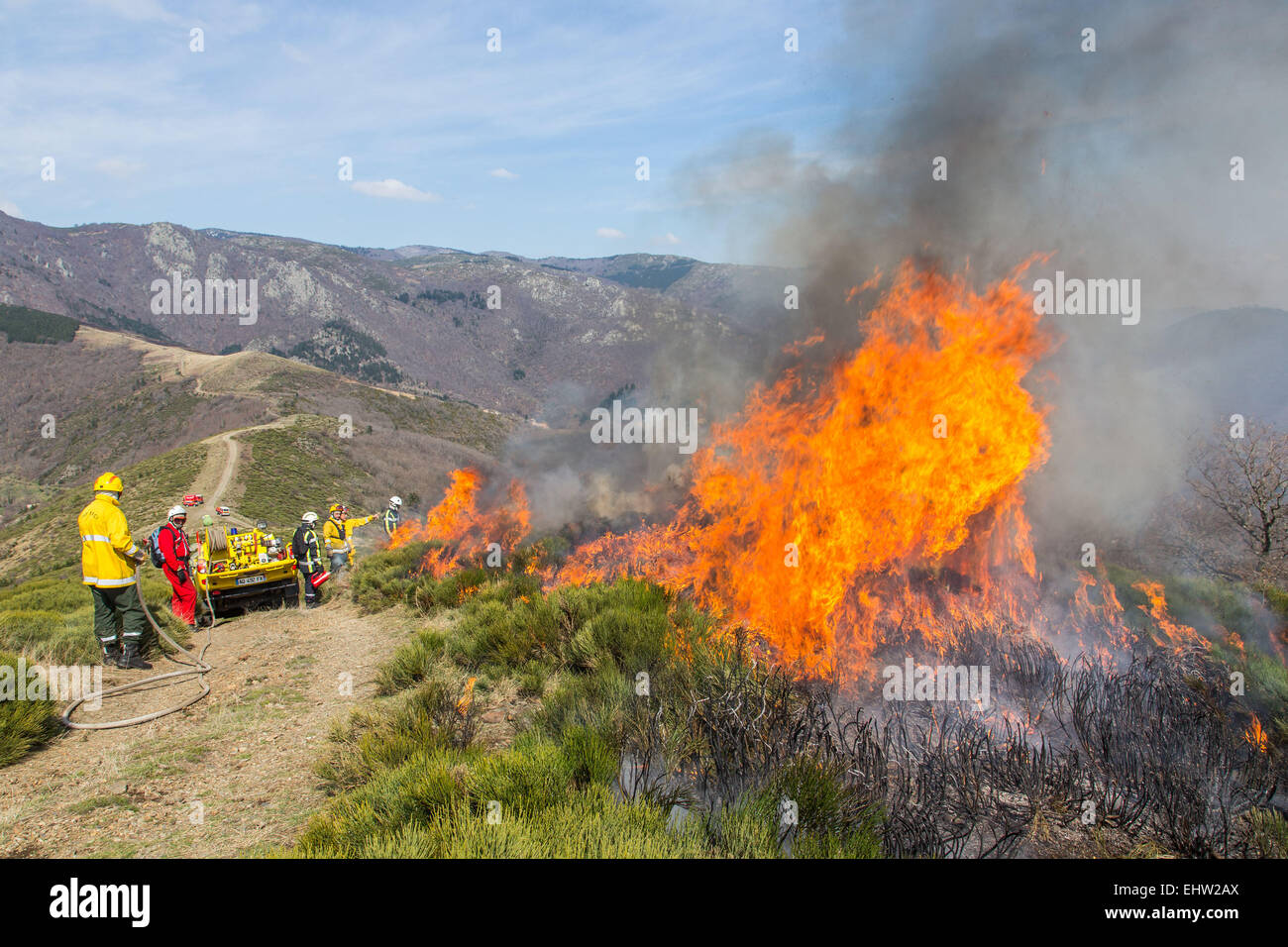 CONTROLLED BURNING Stock Photo