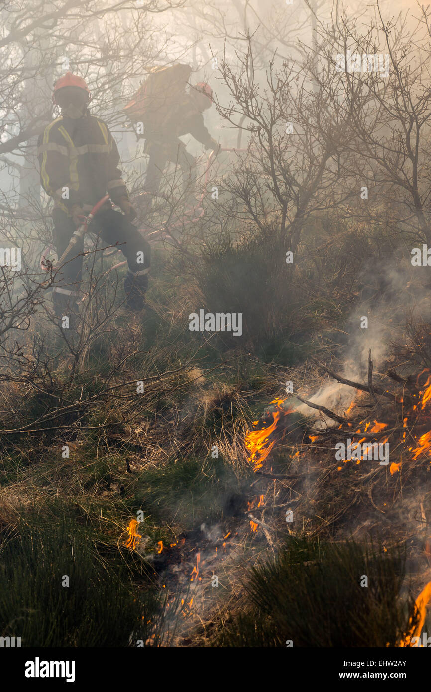 CONTROLLED BURNING Stock Photo