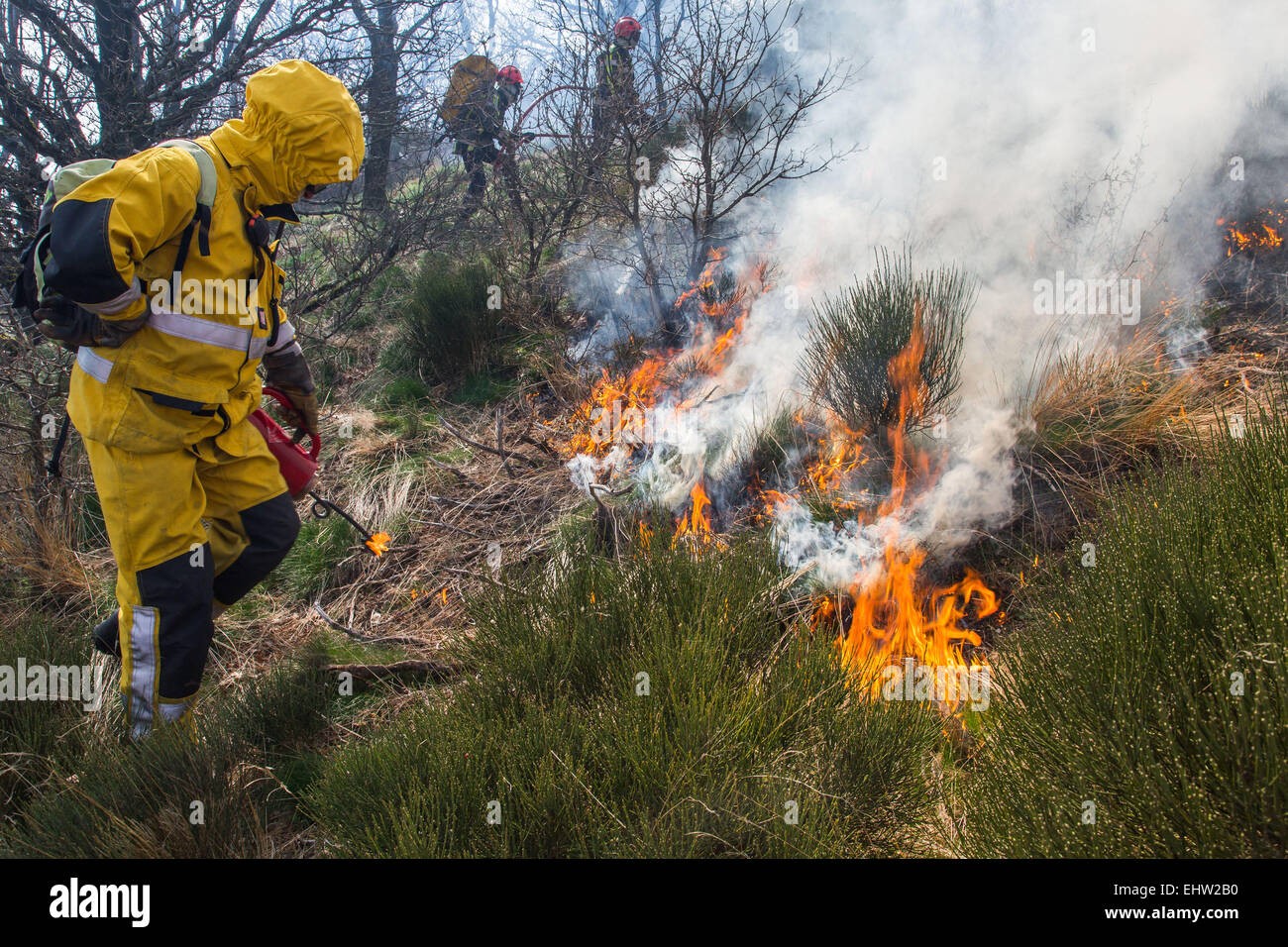 Controlled flame hi-res stock photography and images - Alamy