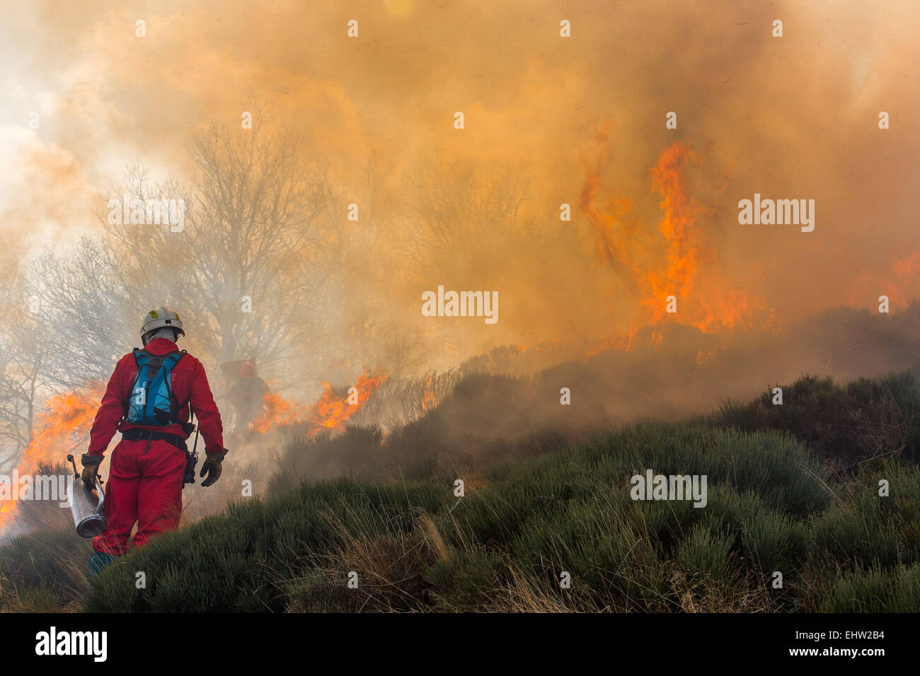 CONTROLLED BURNING Stock Photo