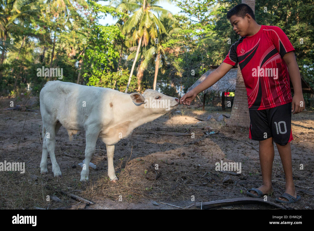 T Earth High Resolution Stock Photography and Images - Alamy