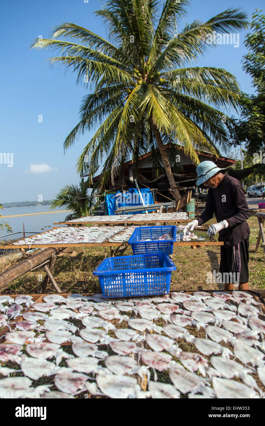 FISHING IN THAILAND, ASIA DU SUD-EST Stock Photo