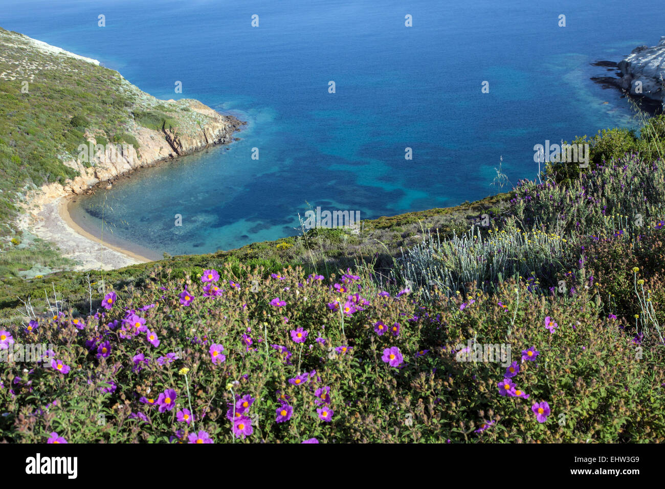 THE OLIVE RIVIERA, AEGEAN SEA, TURKEY Stock Photo