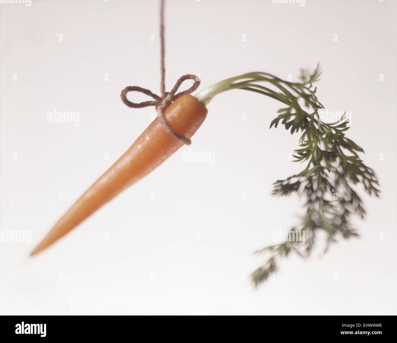 Dangling a carrot Stock Photo