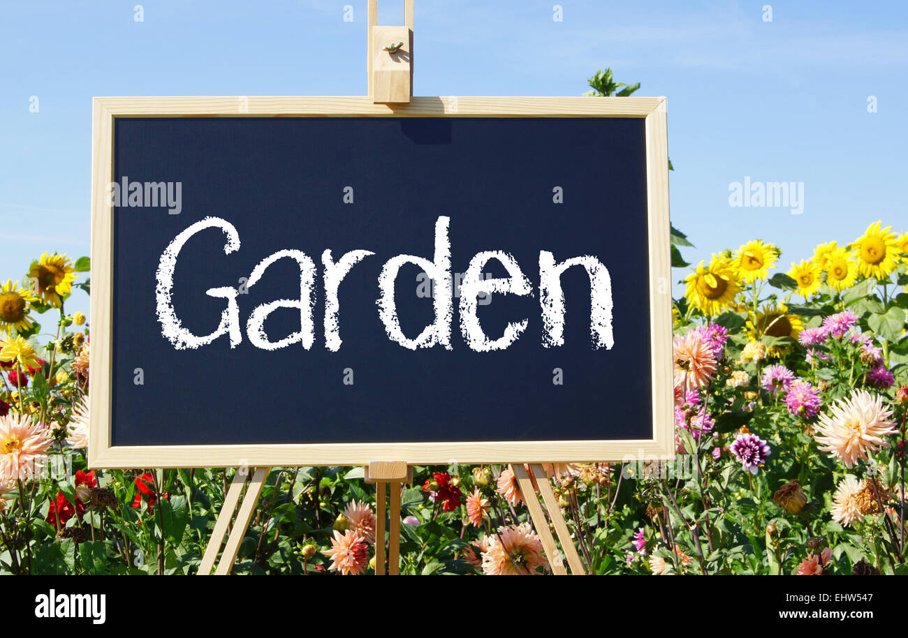 My beautiful Garden Stock Photo Alamy