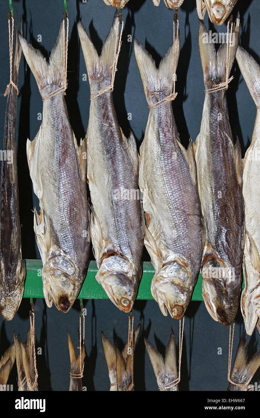 Chinese dried fisch Stock Photo