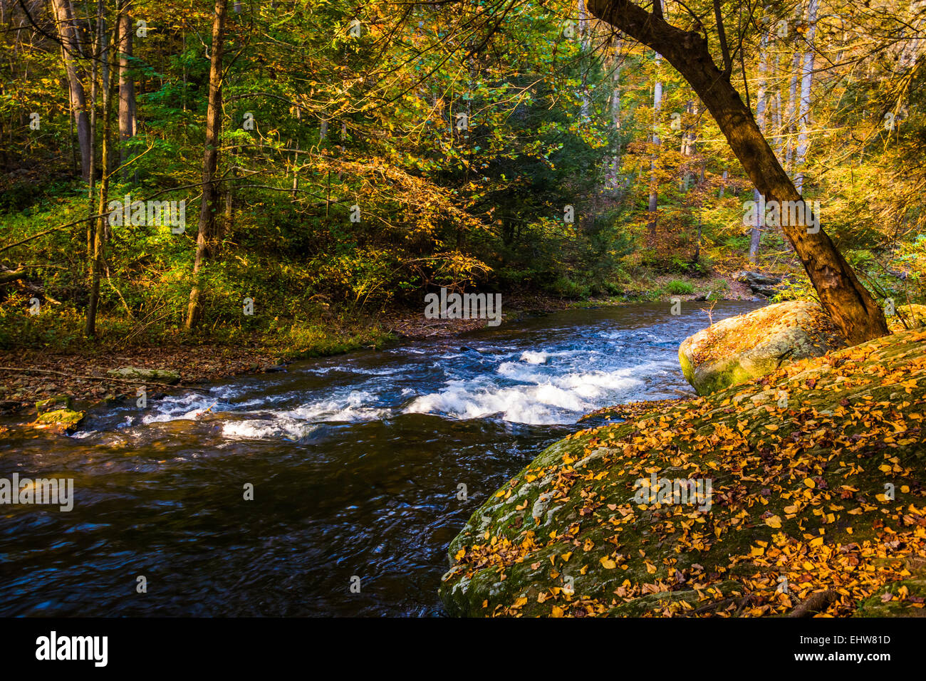 Pot Rocks Gunpowder Cascades on the Gunpowder River in Gunpowder Falls State Park, Maryland ...