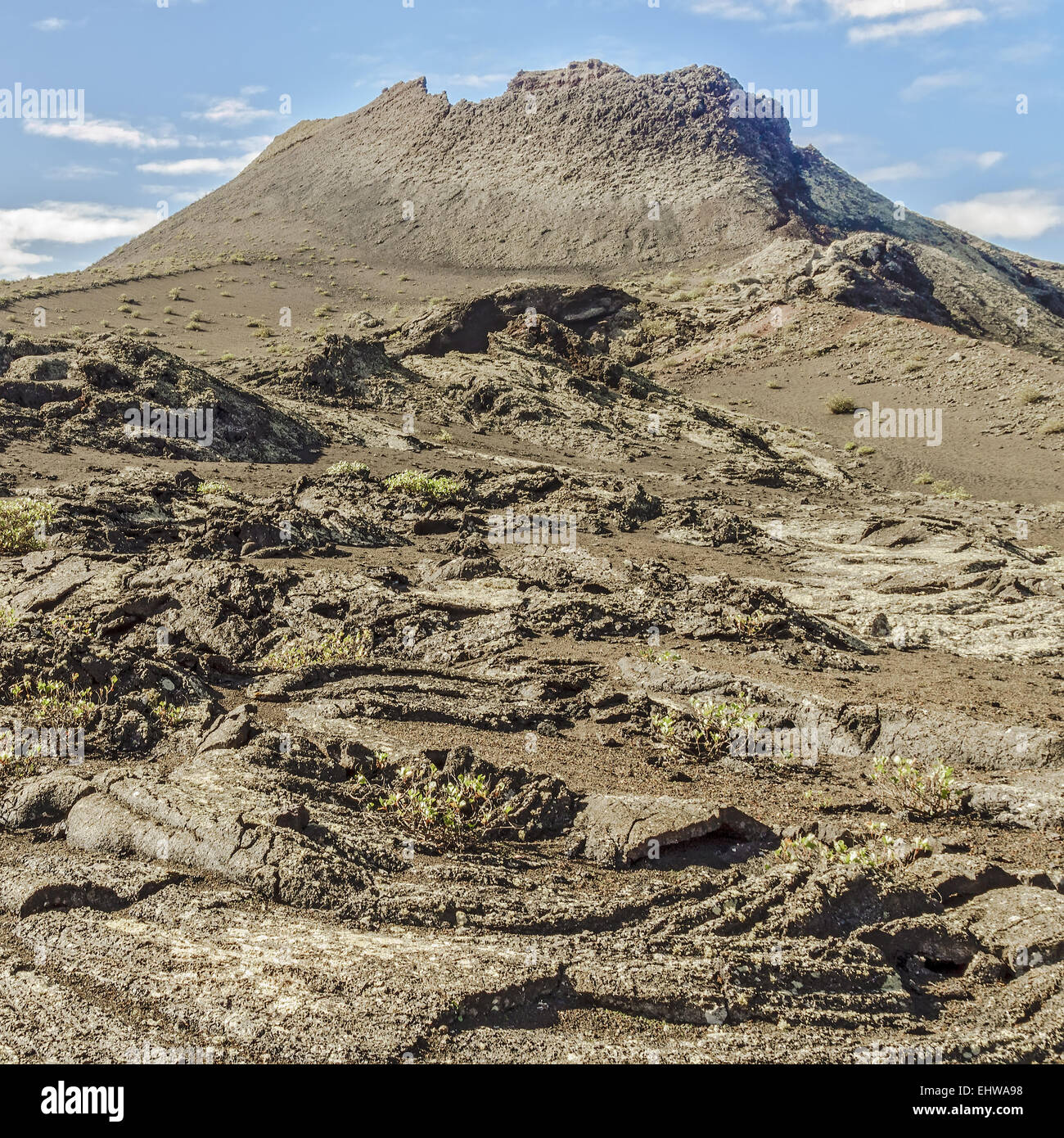 Volcanic Landscape Lanzarote Canary Islands Stock Photo