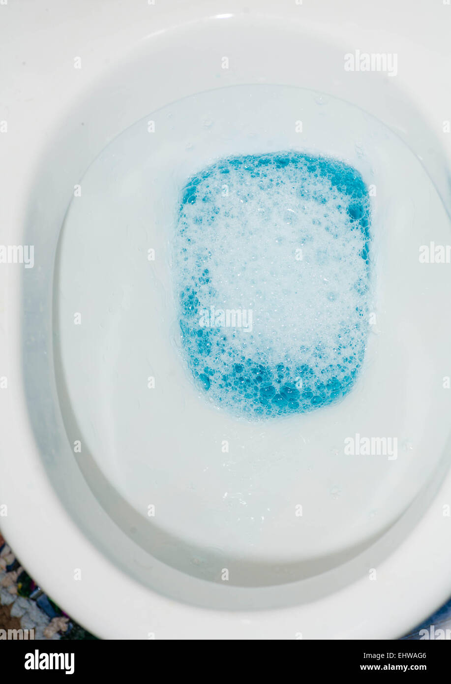 toilet bowl closeup blue water Stock Photo Alamy