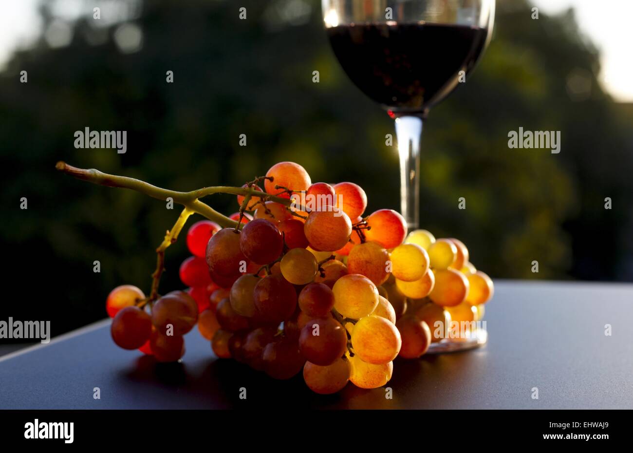 wine Stock Photo