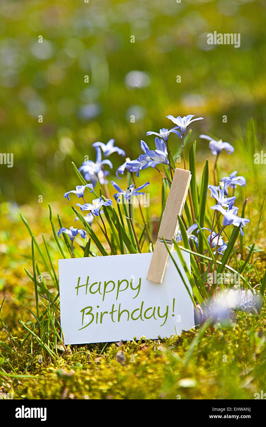 Happy Birthday! with spring flowers Stock Photo - Alamy
