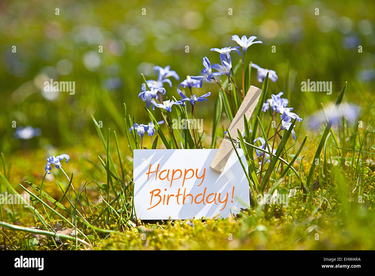 „Happy Birthday! with spring flowers Stock Photo: 79847918 - Alamy