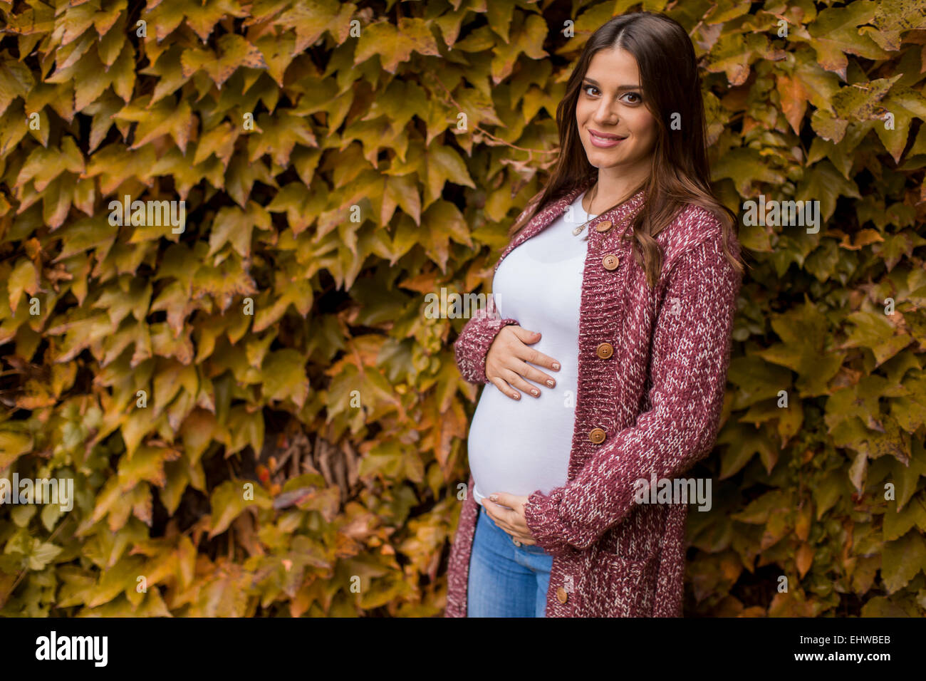 Young pregnant woman in the autumn park Stock Photo - Alamy
