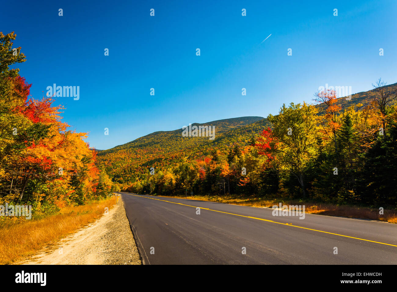 Autumn color along a road in White Mountain National Forest, New Hampshire. Stock Photo