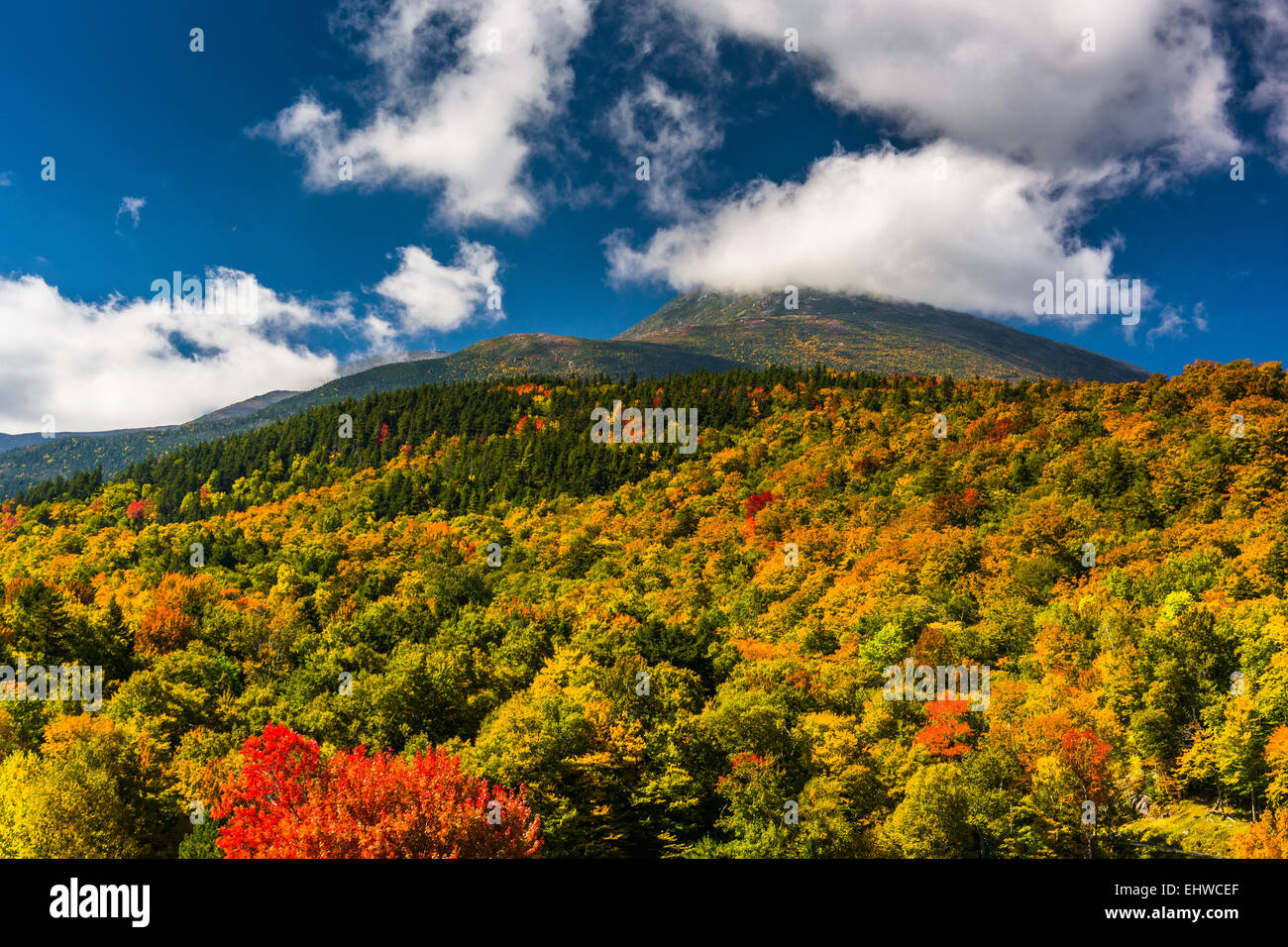 Autumn color and view of the Presidential Range in White Mountain National Forest, New Hampshire. Stock Photo