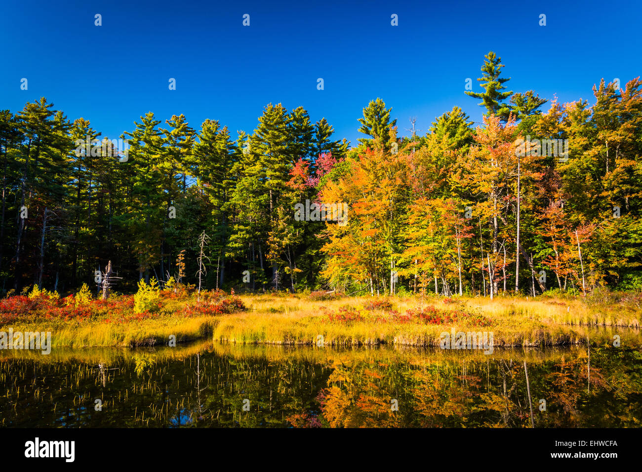 Autumn color at Red Eagle Pond, in White Mountain National Forest, New Hampshire. Stock Photo