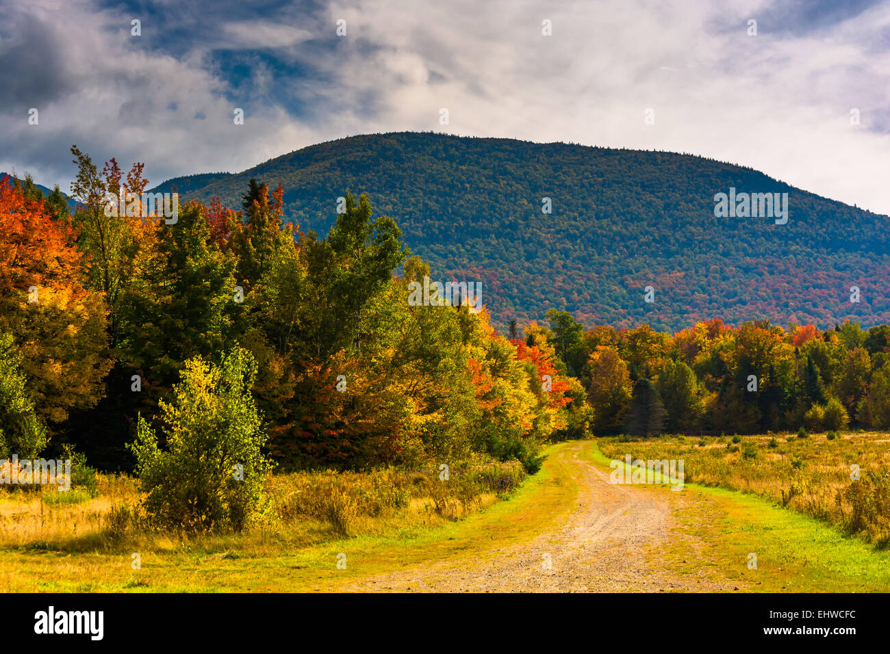 Autumn color in White Mountain National Forest, New Hampshire Stock