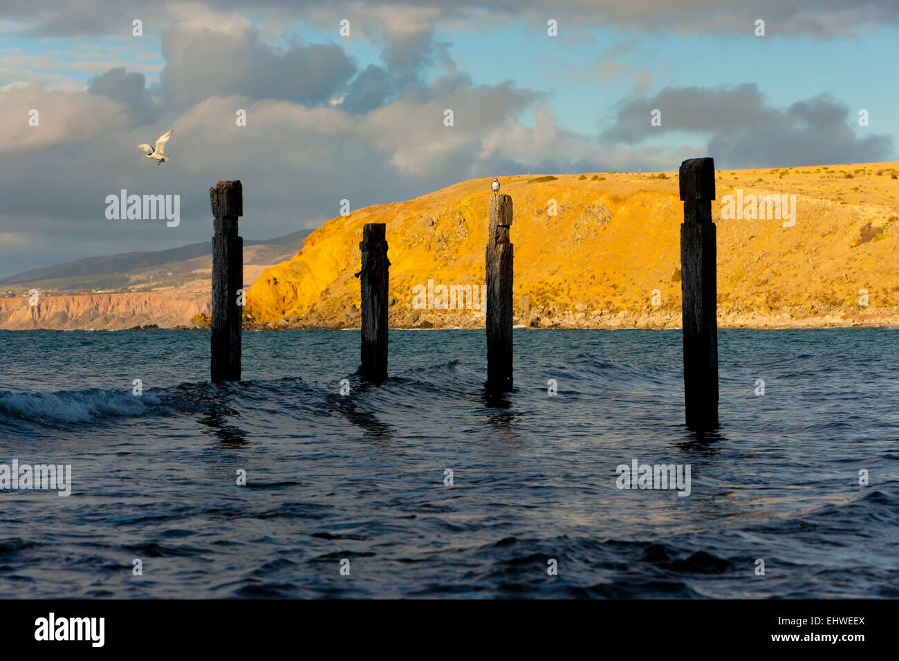 jetty ruins rocks coast coastal seascape seascapes coastline Myponga Beach Fleurieu Peninsula South Australia Australian Stock Photo