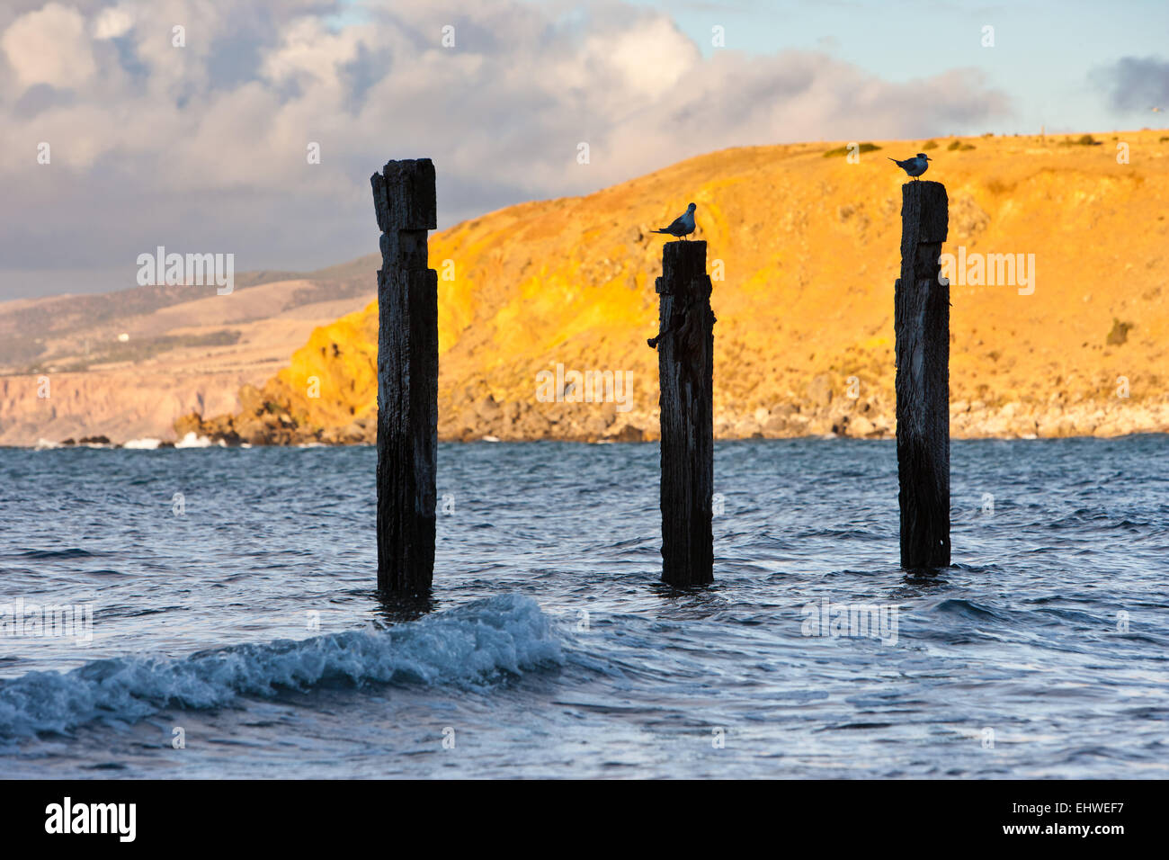 jetty ruins rocks coast coastal seascape seascapes coastline Myponga Beach Fleurieu Peninsula South Australia Australian Stock Photo