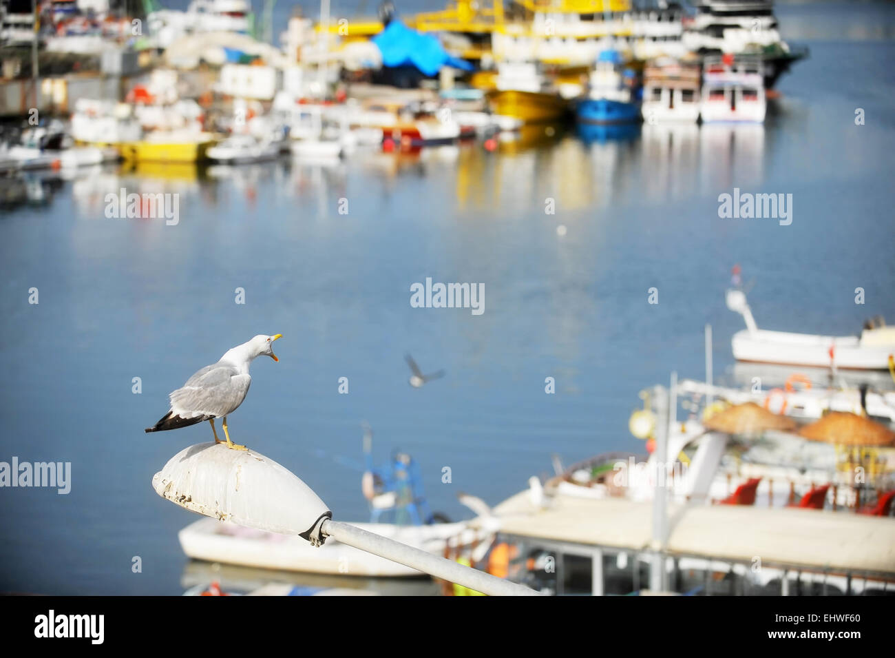 Ship anchored standing in hi-res stock photography and images - Alamy