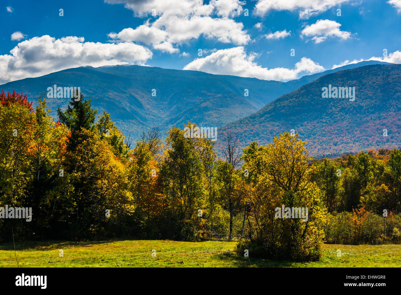 Early autumn color in the White Mountain National Forest, New Hampshire. Stock Photo