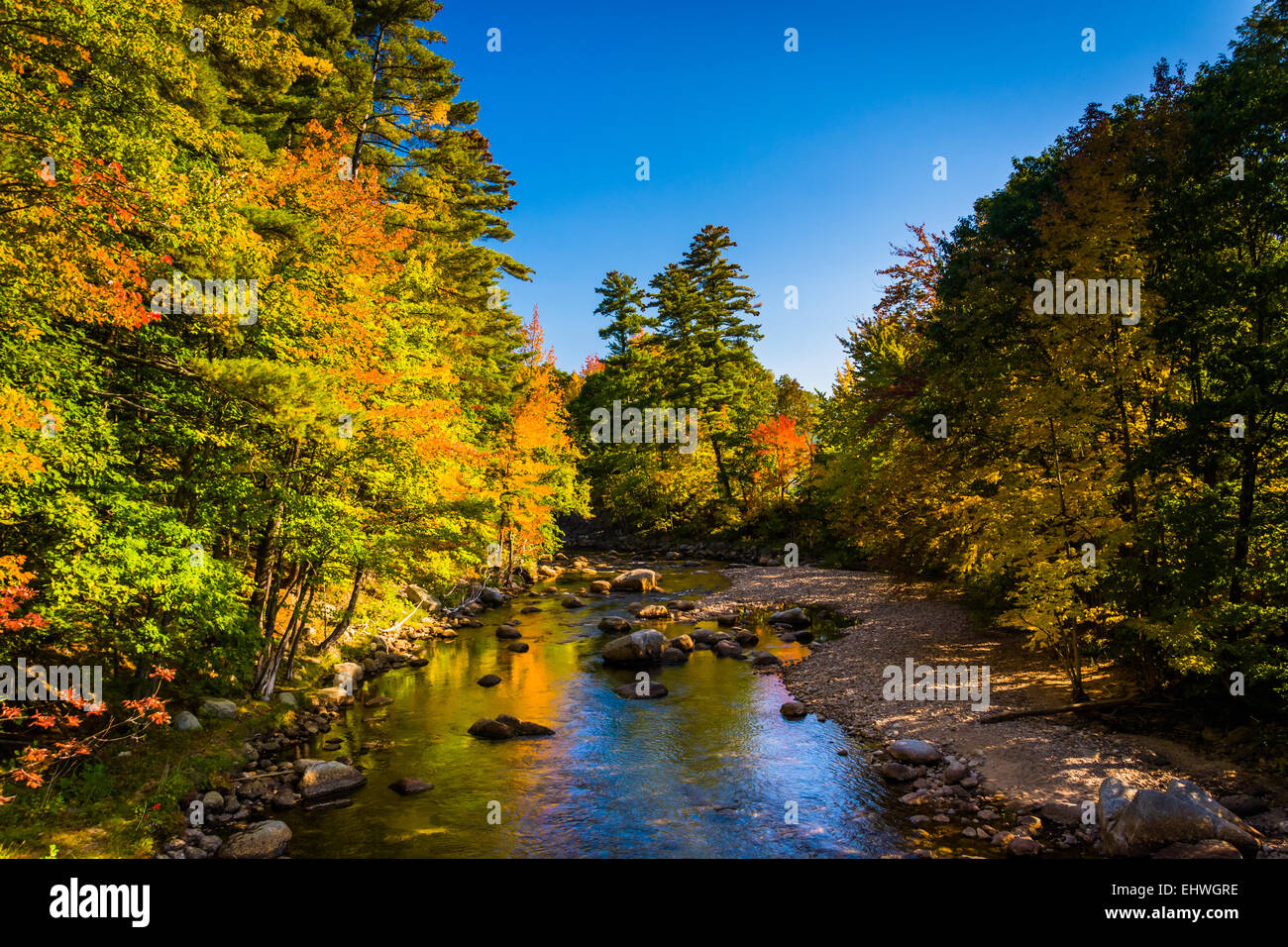Early autumn color along the Swift River in Conway, New Hampshire. Stock Photo
