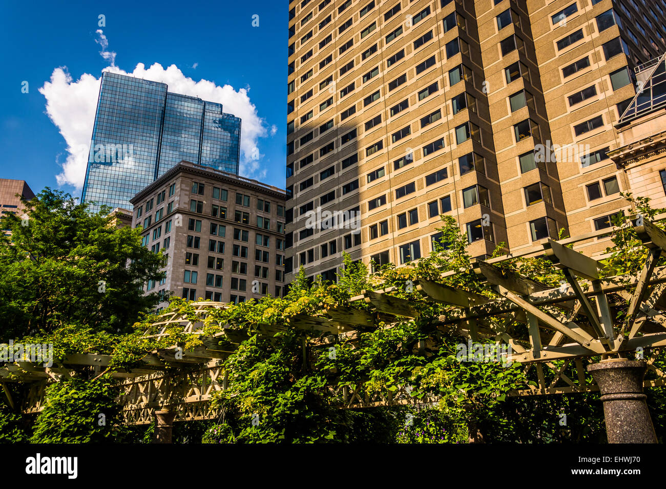 Garden trellis and buildings seen at Norman B. Leventhal Park in Boston