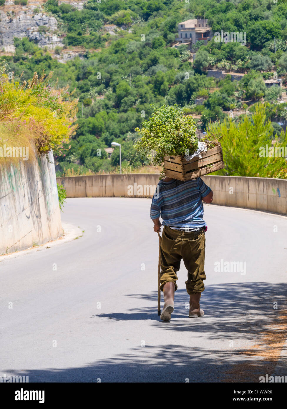 Italy, Sicily, Modica, old man carrying wooden box with vegetables Stock Photo