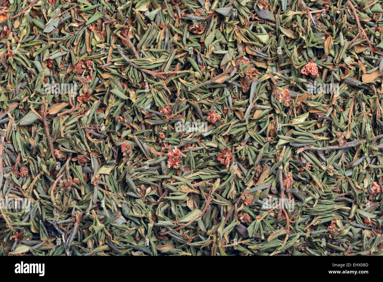Background of dried herb - branches with leaves and flowers of Rhododendron adamsii Stock Photo