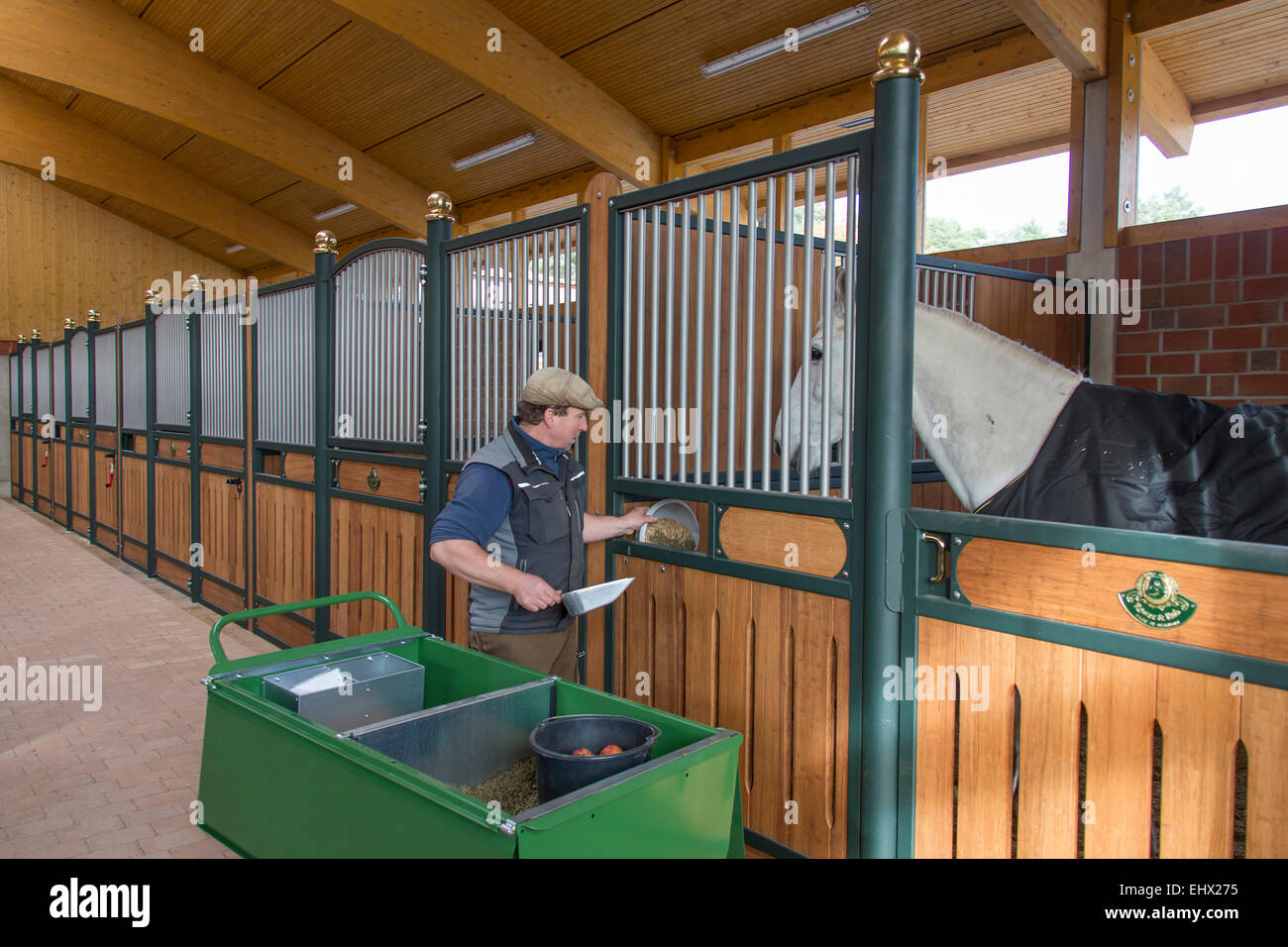 Stable Germany Stable men hi-res stock photography and images - Alamy