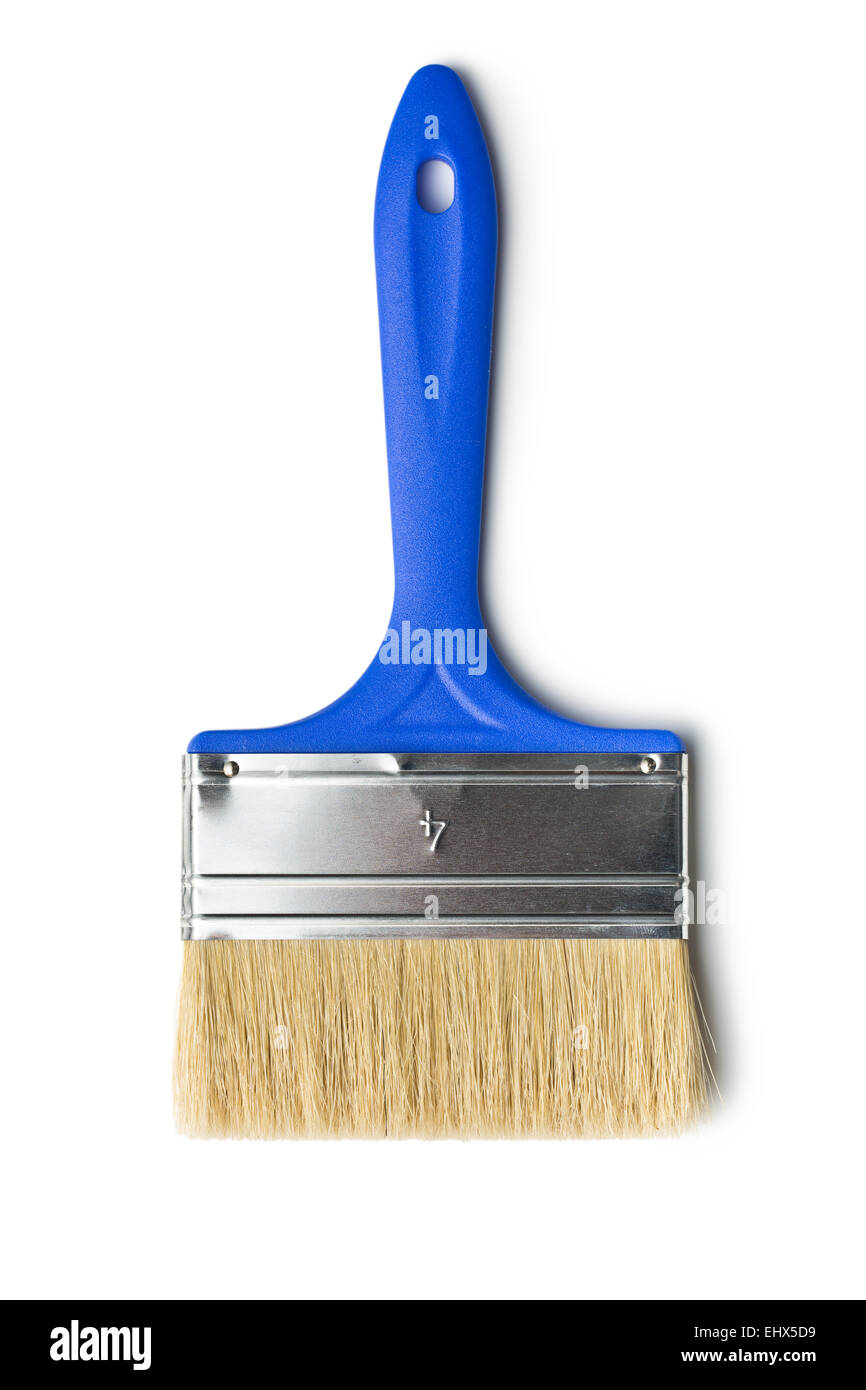 paint brush on white background Stock Photo