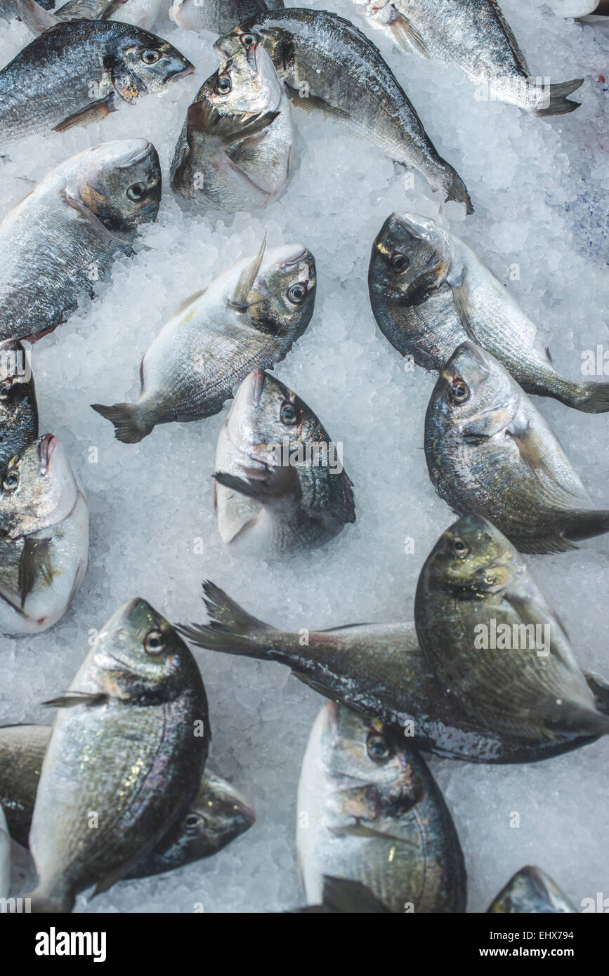 Greece, Athens, Fresh fish in market at Piraeus Stock Photo Alamy