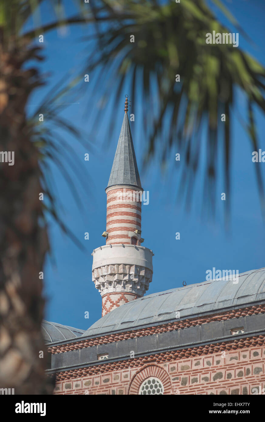 Bulgaria, Plovdiv, Mosque and palm tree Stock Photo - Alamy