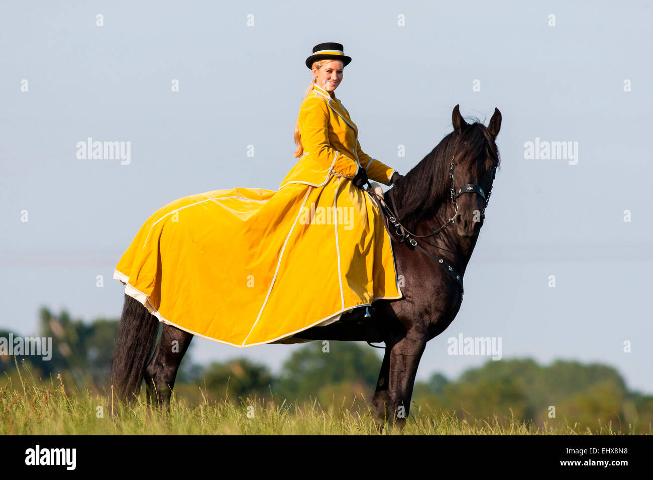 Friesian Horse Rider wearing baroque riding habit riding black Friesian