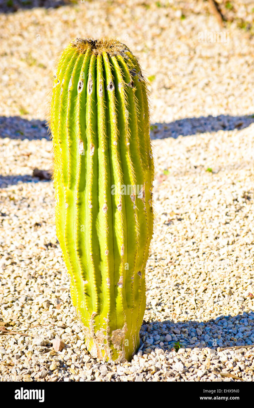 Only sunny only hi-res stock photography and images - Alamy