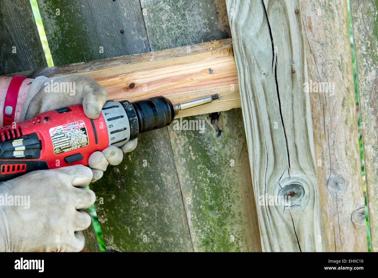 mans hands and drill drilling holes for wood fence repair Stock Photo
