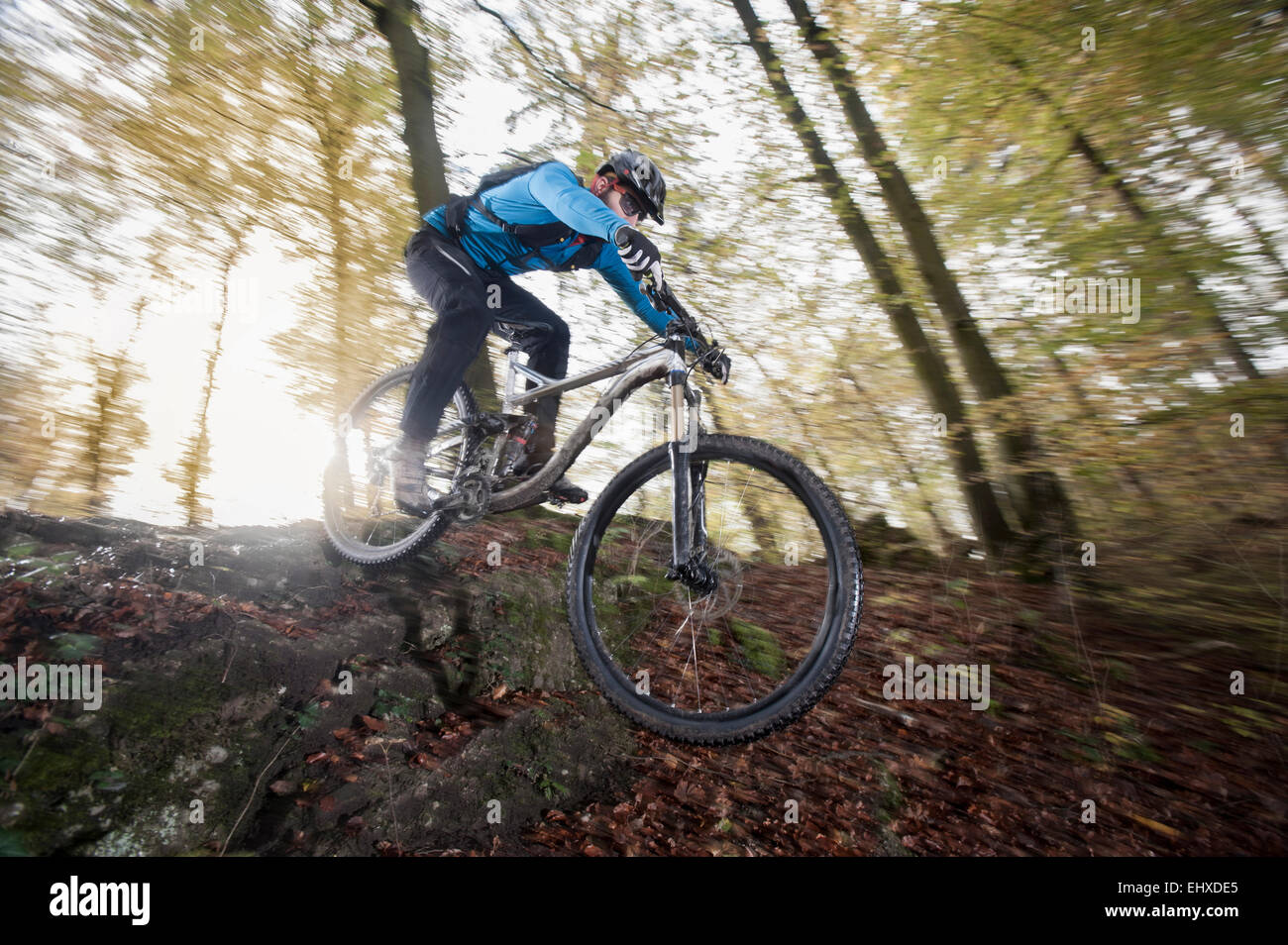 Mountain biker riding downhill in a forest, Bavaria, Germany Stock Photo