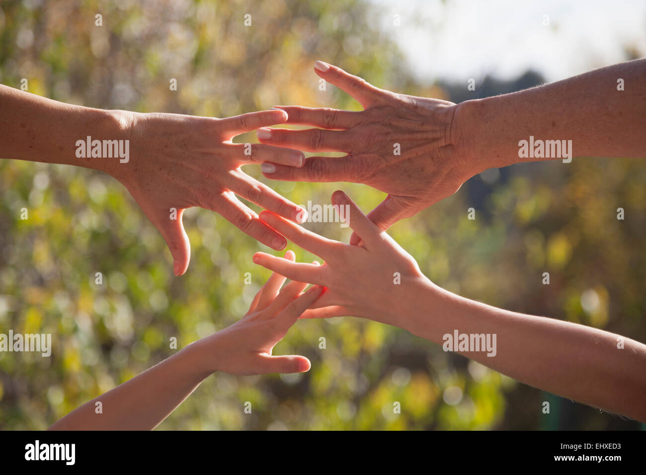 Close up of a family hands together against sunlight, Bavaria, Germany Stock Photo