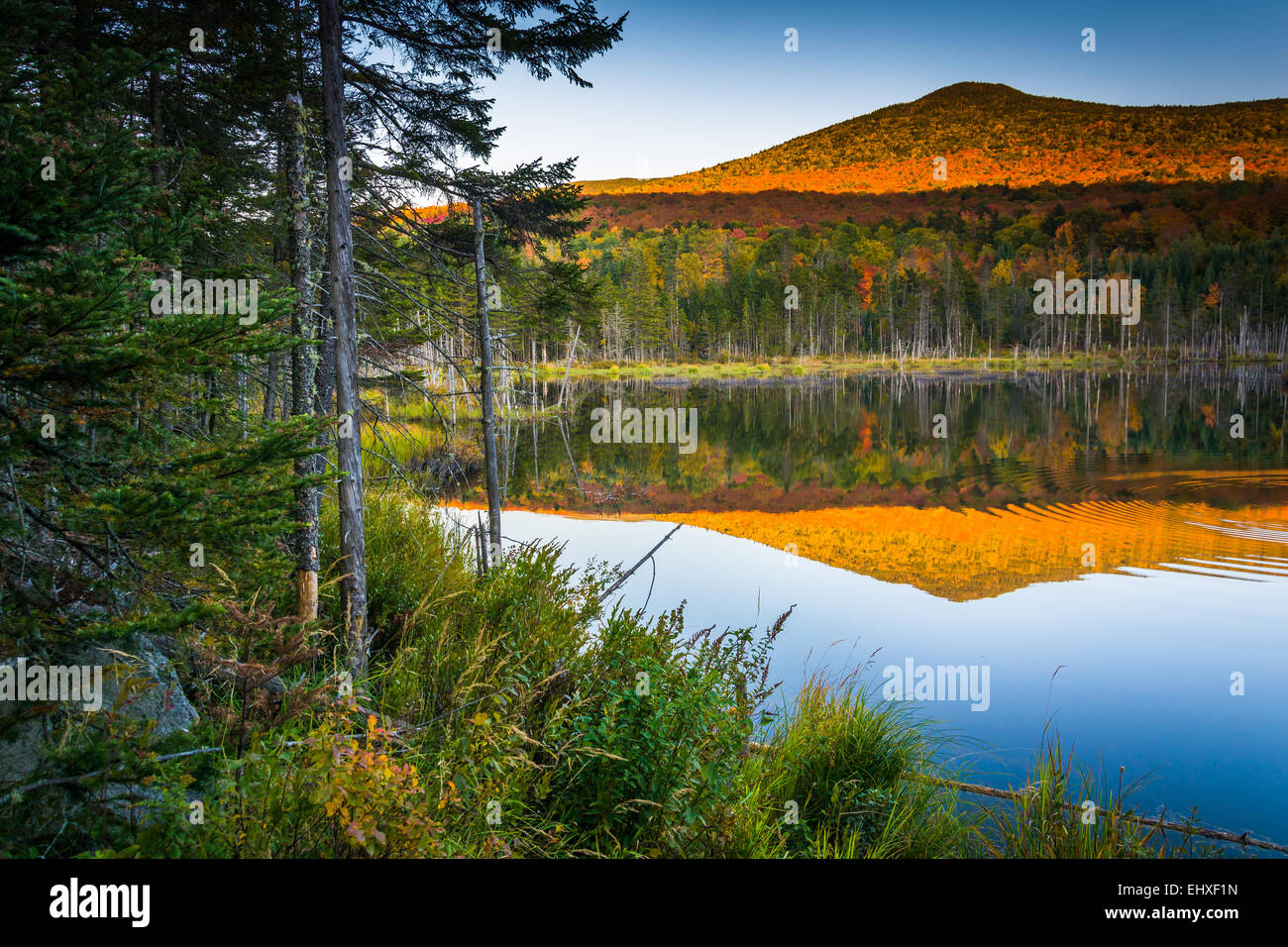 Mount Deception reflecting in a pond in White Mountain National Forest ...