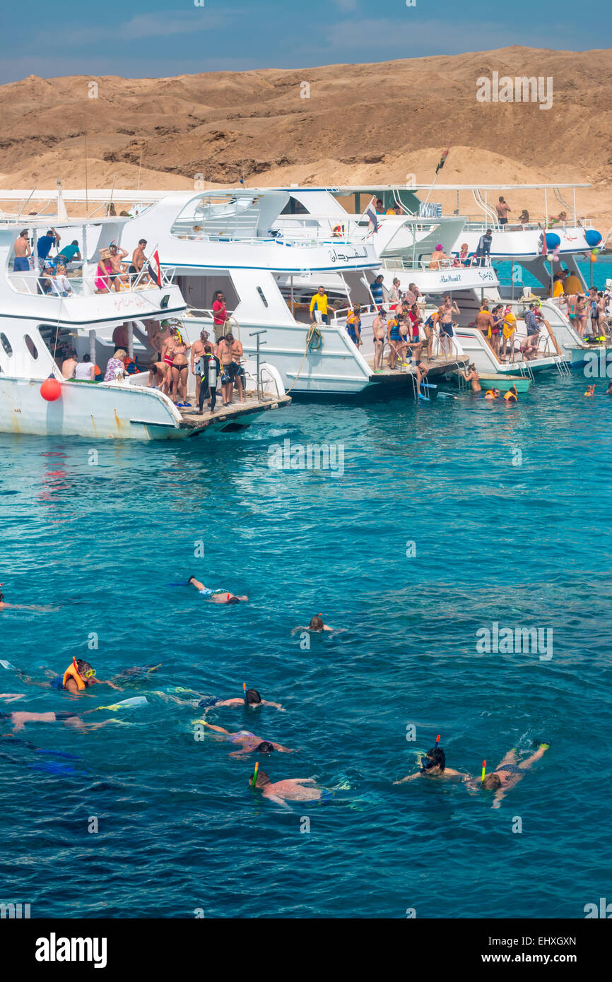 Tourists snorkel around coral reefs in the Red Sea, just off the shores of Hurghada, in Egypt Stock Photo