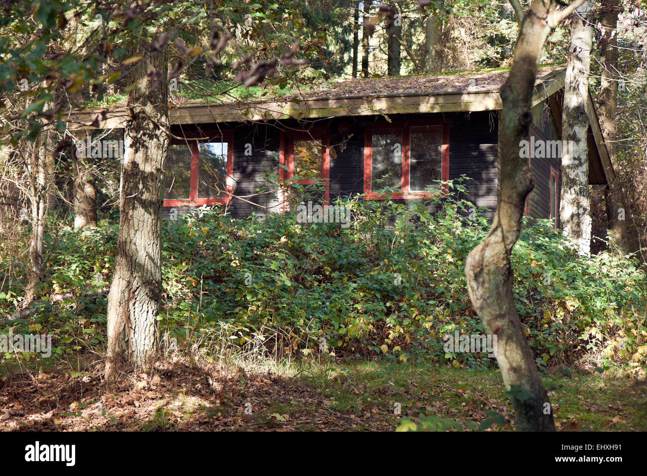 Black cabin with red windows hidden in the forest Stock Photo