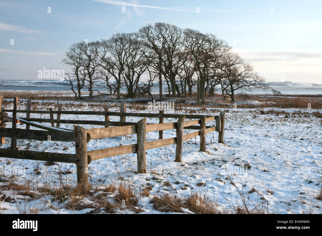 Fence in the snow at Kalloe near Aarhus, Denmark Stock Photo