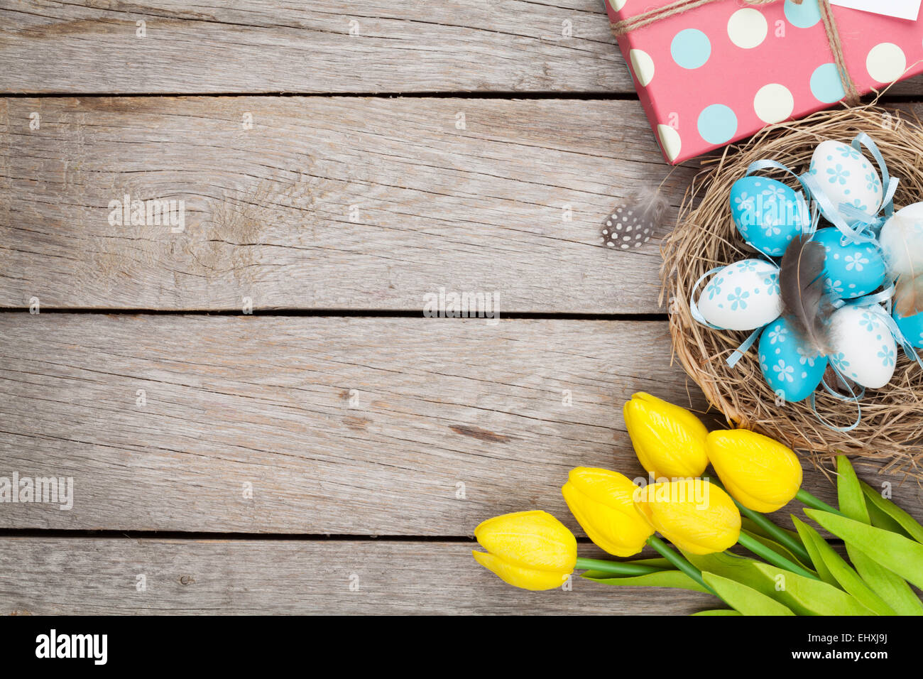 Easter background with blue and white eggs in nest, yellow tulips and ...