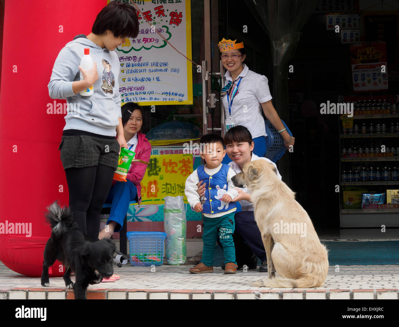 Asian people interacting with stray dogs Stock Photo