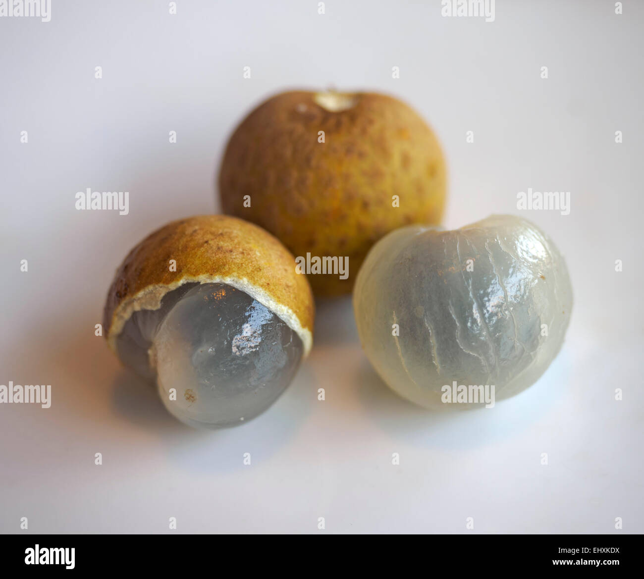 Three longan fruits Stock Photo
